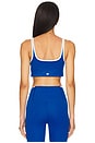 view 3 of 4 Cait Rigor Bra in Classic Blue & White
