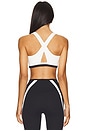 view 3 of 4 Miles Rigor Sports Bra in Black & White