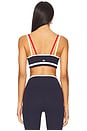 view 3 of 4 Eva Rigor Double Strap Sports Bra in Indigo & White