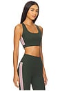 view 3 of 5 Lexi Rigor Sports Bra in Military & Blush
