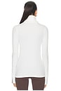 view 4 of 5 Jackson Rib Full Length Turtleneck Top in White & Dark Chocolate