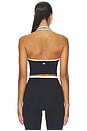 view 4 of 4 Rory Airweight Halter Bralette in Black & Creme
