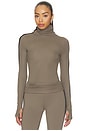 view 2 of 5 Jackson Rib Full Length Turtleneck Top in Lentil & Black