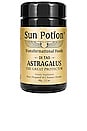 view 1 of 3 Astragalus The Great Protector Powder in 