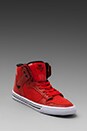 view 1 of 4 Vaider Sneaker in Red Snake