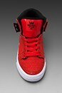view 4 of 4 Vaider Sneaker in Red Snake