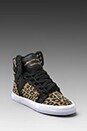view 1 of 5 Skytop Sneaker in Cheetah
