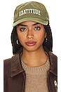 view 1 of 3 Gratitude Canvas Dad Hat in Dusty Sage