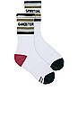 view 1 of 4 STRIPE ソックス in White