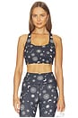 view 1 of 4 Solstice Frankie Bra Top in Black