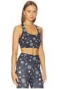 view 2 of 4 Solstice Frankie Bra Top in Black