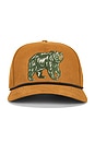 view 1 of 3 Bear Cap in Gold