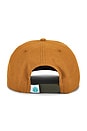 view 2 of 3 Bear Cap in Gold