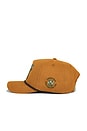 view 3 of 3 Bear Cap in Gold