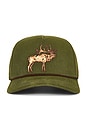 view 1 of 3 Elk Cap in Green