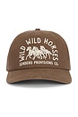 view 1 of 2 Wild Wild Horses Hat in Brown & Cream