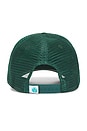 view 2 of 3 Rowdy Trucker Hat in Green