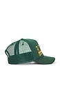 view 3 of 3 Rowdy Trucker Hat in Green