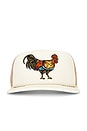 view 1 of 3 Yardbird Hat in Cream