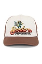 view 1 of 3 Dueling Cicadas Hat in Brown