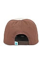 view 2 of 3 Dueling Cicadas Hat in Brown