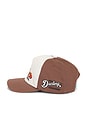 view 4 of 3 Dueling Cicadas Hat in Brown
