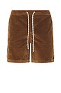 view 1 of 5 San Gabriel 2.0 Shorts in Walnut