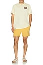 view 4 of 4 Buena Suerte Tee in Cream