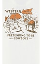 view 4 of 5 Western Show T-Shirt in Vintage White