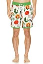 view 5 of 6 Point Bar Boardshorts in Cowboy Surreal