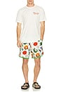 view 6 of 6 Point Bar Boardshorts in Cowboy Surreal