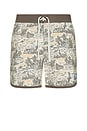 view 1 of 6 Point Bar Boardshorts in Desert Abduction