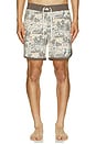 view 5 of 6 Point Bar Boardshorts in Desert Abduction