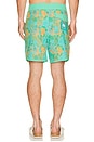 view 3 of 6 Point Bar Boardshort in Verde Vivo Nopal Cosmico