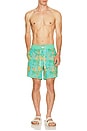 view 4 of 6 Point Bar Boardshort in Verde Vivo Nopal Cosmico