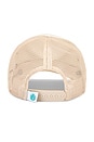 view 3 of 4 Coastal Cowgirl Hat in Cream & Brown