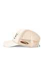 view 4 of 4 Coastal Cowgirl Hat in Cream & Brown