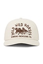 view 2 of 3 Wild Wild Horses Cap in Cream & Brown