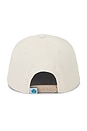 view 3 of 3 Wild Wild Horses Cap in Cream & Brown