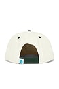 view 3 of 3 CASQUETTE COWBOY HAT in Cream & Green