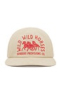 view 2 of 3 Wild Horses Hat in Cream