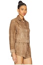 view 2 of 4 Hardy Jacket in Sepia