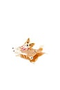 view 1 of 4 Hand-Painted Corgi Claw Hair Clip in 