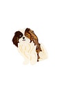 view 1 of 6 Hand-Painted Shih Tzu Pup Claw Hair Clip in 