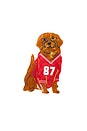 view 1 of 1 Hand-Painted Football Dog Claw Hair Clip in 