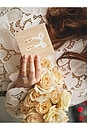 view 4 of 4 Til Death Do Us Part Trinket Box in Cream
