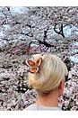 view 3 of 5 Hand-painted Emperor Silk Moth Claw Hair Clip in Brown