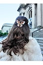 view 4 of 5 Hand-painted Emperor Silk Moth Claw Hair Clip in Brown