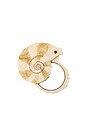 view 1 of 2 Hand-painted Spiral Shell Compact Mirror in 