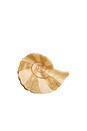 view 1 of 4 Hand-painted Spiral Shell Claw Hair Clip in 